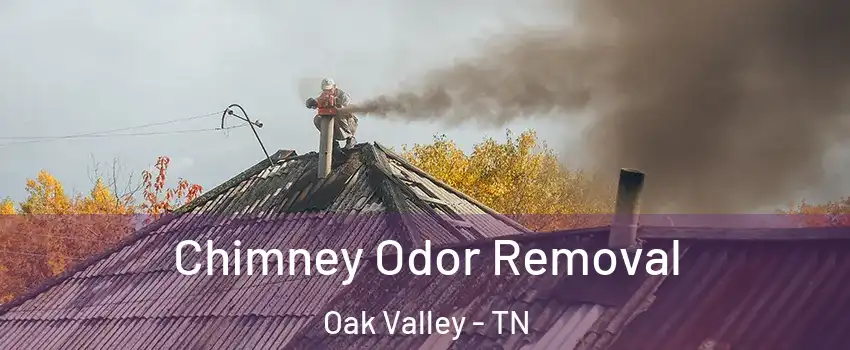 Chimney Odor Removal Oak Valley - TN