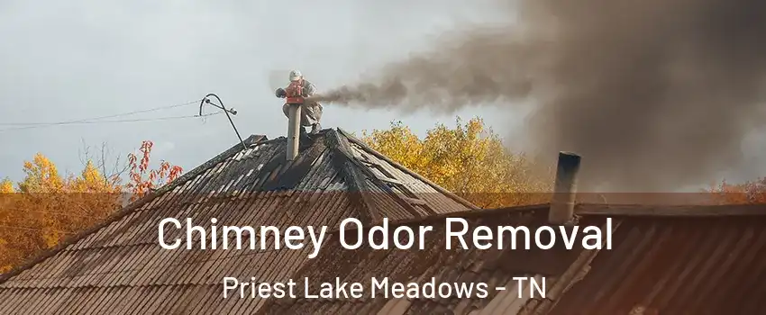 Chimney Odor Removal Priest Lake Meadows - TN