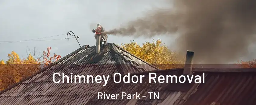 Chimney Odor Removal River Park - TN