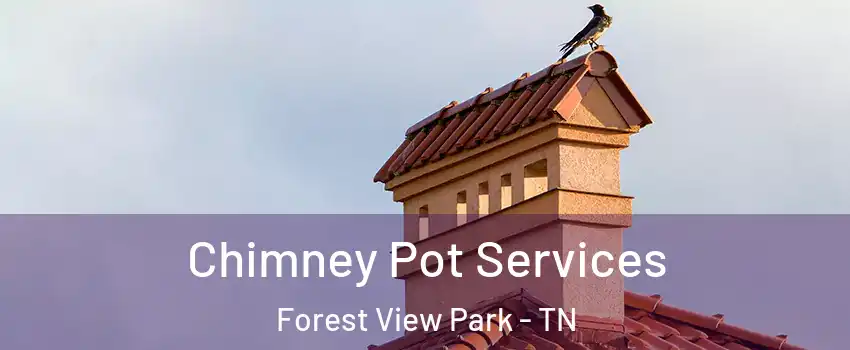 Chimney Pot Services Forest View Park - TN