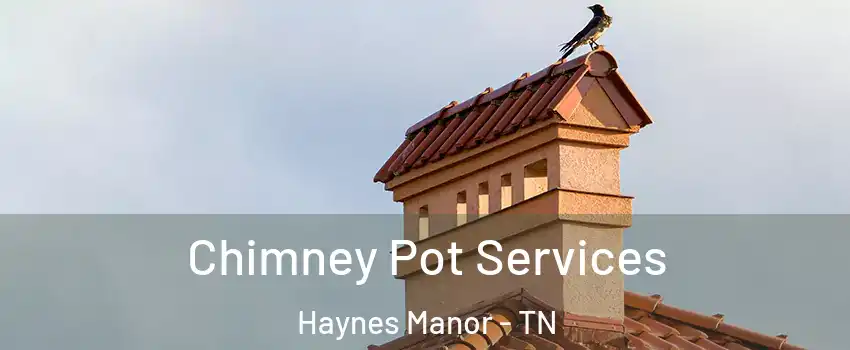 Chimney Pot Services Haynes Manor - TN