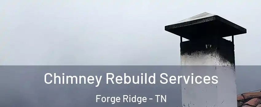 Chimney Rebuild Services Forge Ridge - TN