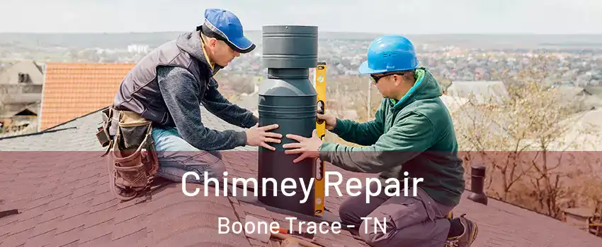 Chimney Repair Boone Trace - TN