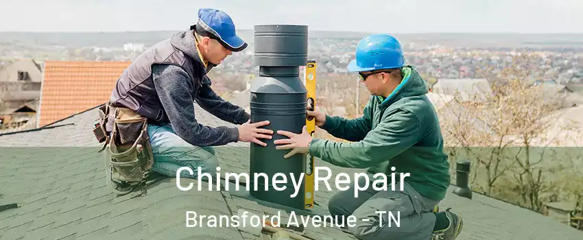 Chimney Repair Bransford Avenue - TN