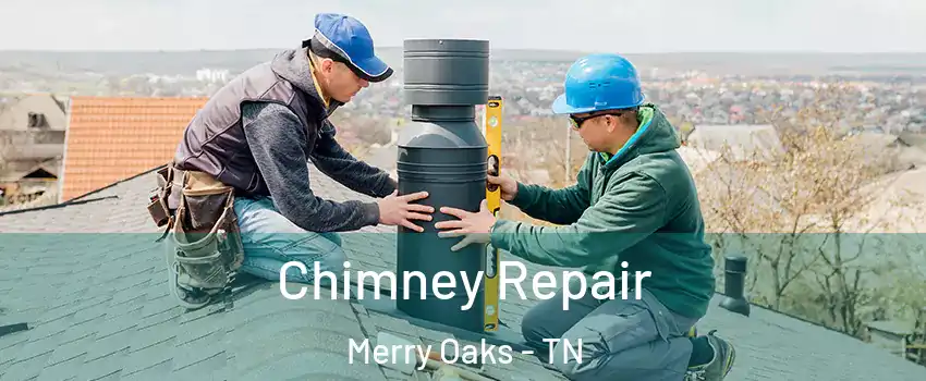 Chimney Repair Merry Oaks - TN