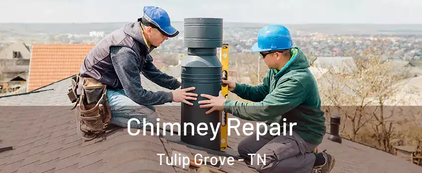 Chimney Repair Tulip Grove - TN