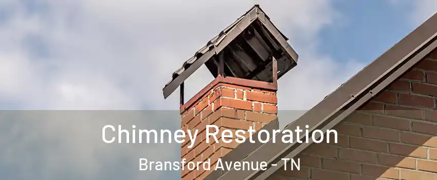 Chimney Restoration Bransford Avenue - TN