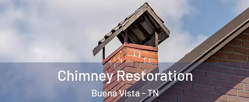 Chimney Restoration Buena Vista - TN