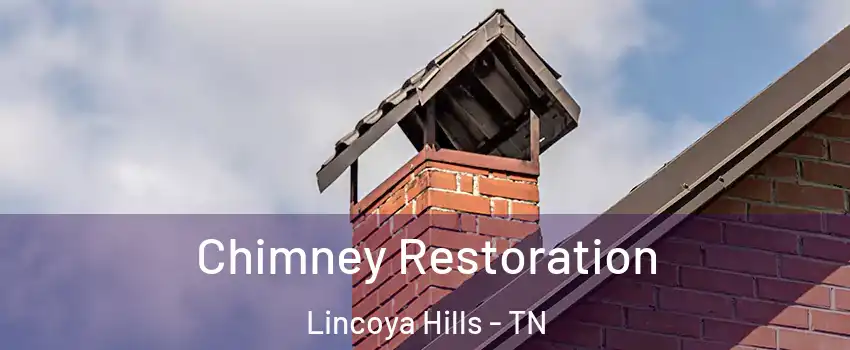 Chimney Restoration Lincoya Hills - TN