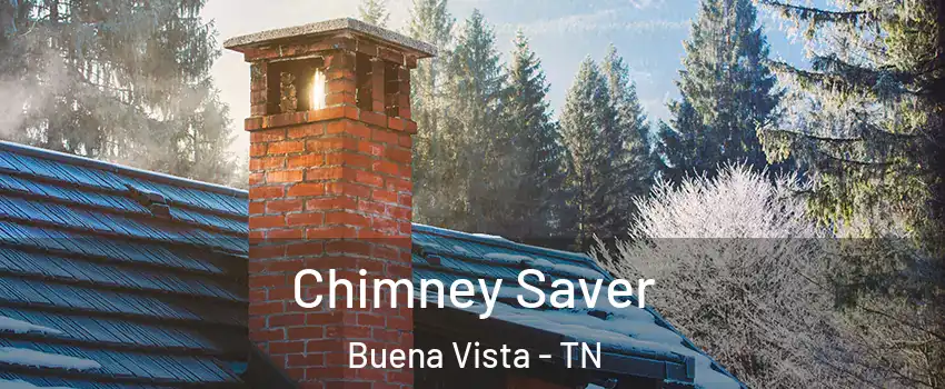 Chimney Saver Buena Vista - TN