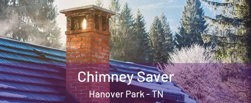 Chimney Saver Hanover Park - TN