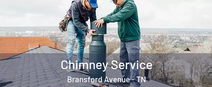 Chimney Service Bransford Avenue - TN