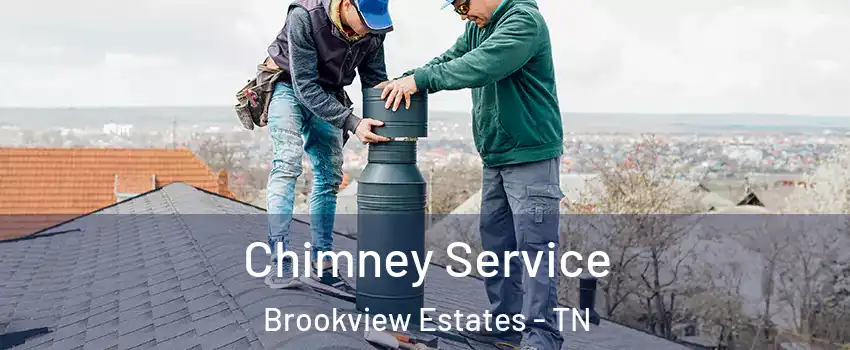 Chimney Service Brookview Estates - TN