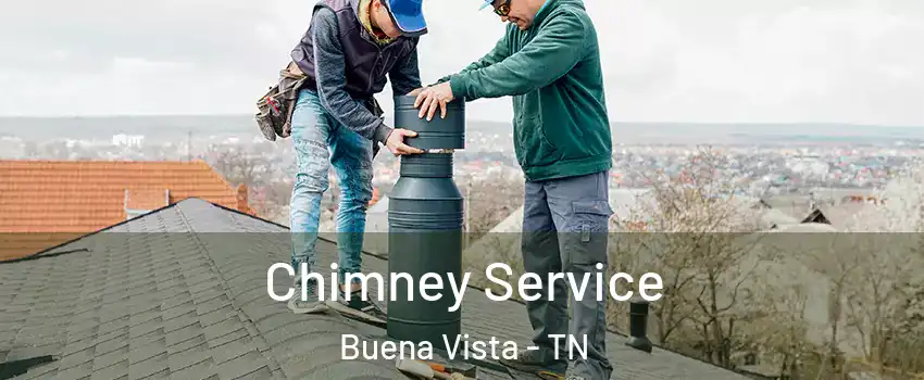 Chimney Service Buena Vista - TN