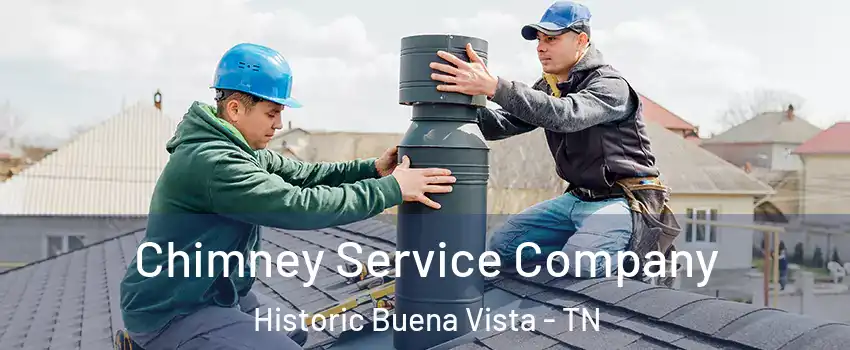 Chimney Service Company Historic Buena Vista - TN