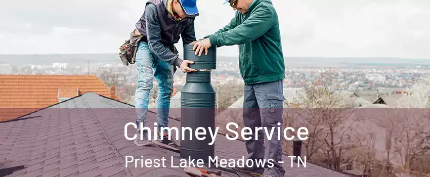 Chimney Service Priest Lake Meadows - TN