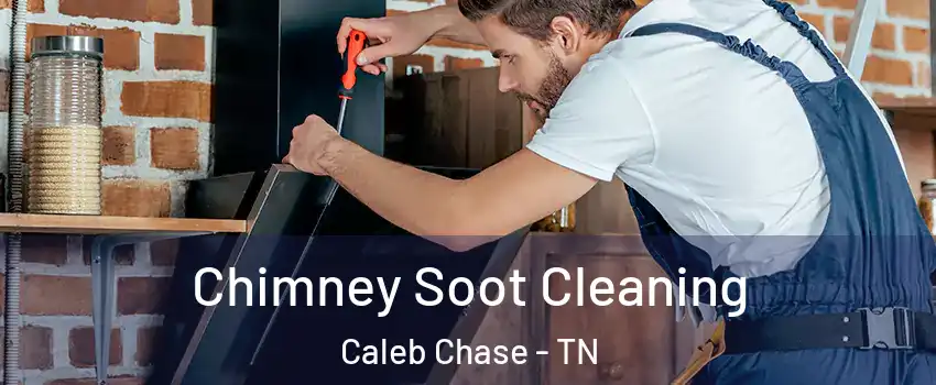 Chimney Soot Cleaning Caleb Chase - TN