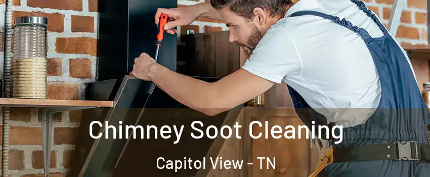 Chimney Soot Cleaning Capitol View - TN