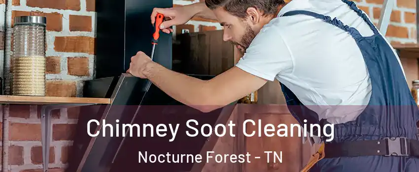 Chimney Soot Cleaning Nocturne Forest - TN