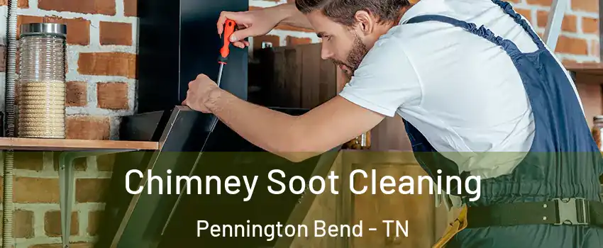 Chimney Soot Cleaning Pennington Bend - TN