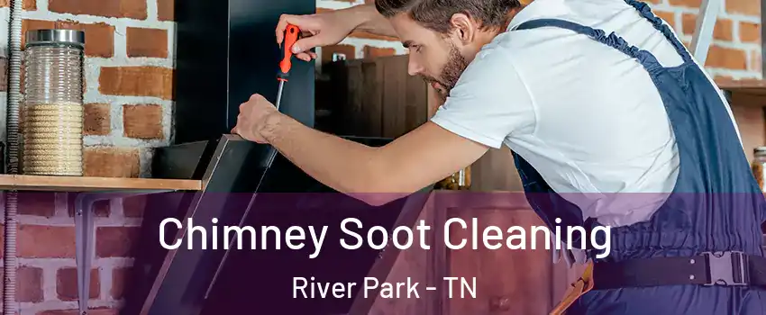 Chimney Soot Cleaning River Park - TN