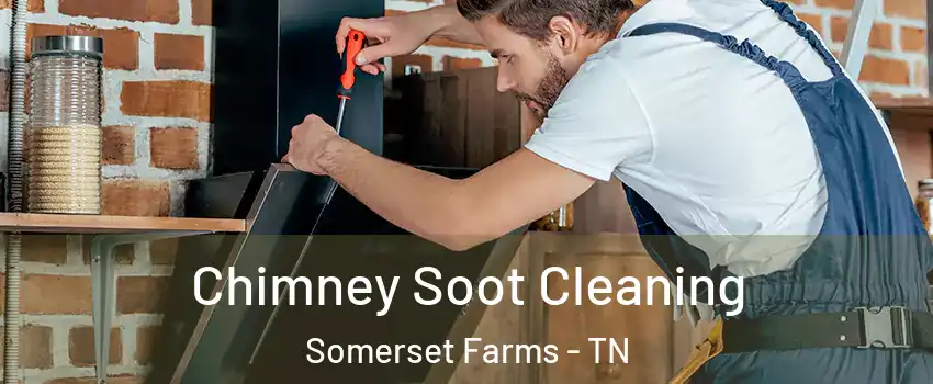 Chimney Soot Cleaning Somerset Farms - TN