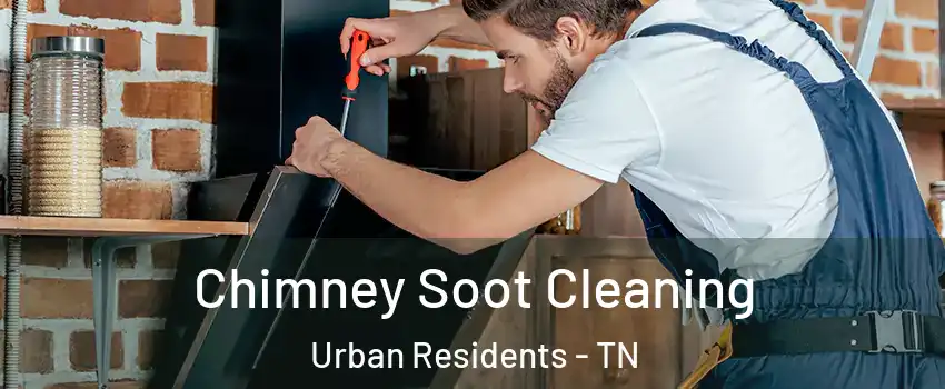 Chimney Soot Cleaning Urban Residents - TN