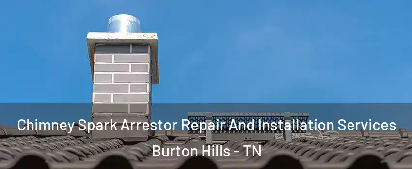 Chimney Spark Arrestor Repair And Installation Services Burton Hills - TN