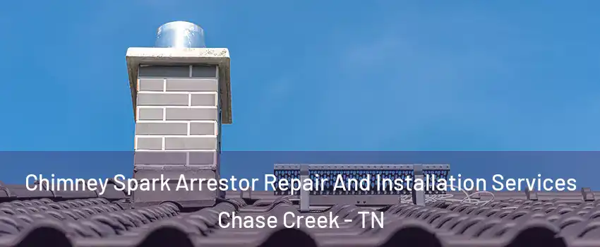 Chimney Spark Arrestor Repair And Installation Services Chase Creek - TN