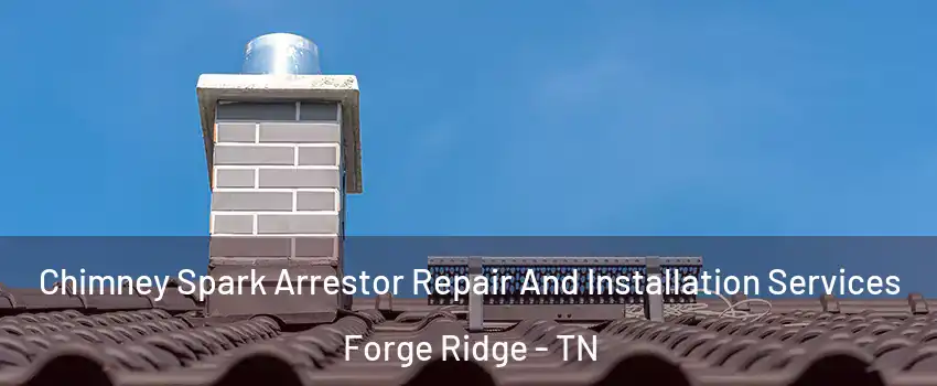 Chimney Spark Arrestor Repair And Installation Services Forge Ridge - TN