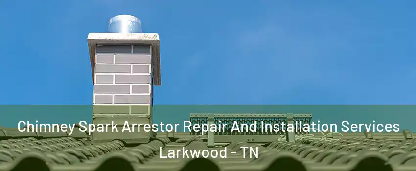 Chimney Spark Arrestor Repair And Installation Services Larkwood - TN