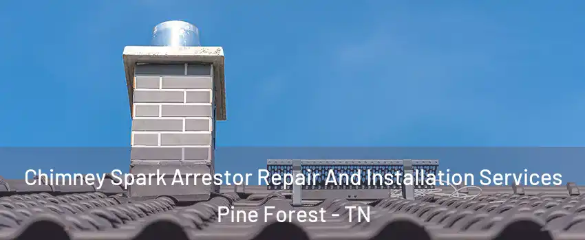 Chimney Spark Arrestor Repair And Installation Services Pine Forest - TN