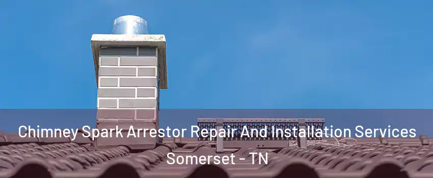 Chimney Spark Arrestor Repair And Installation Services Somerset - TN