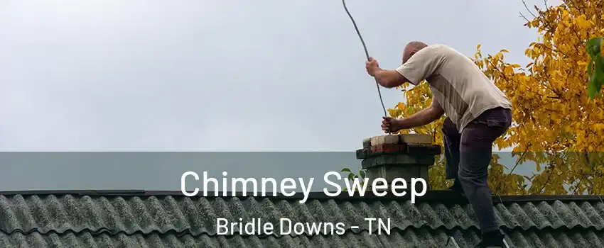 Chimney Sweep Bridle Downs - TN