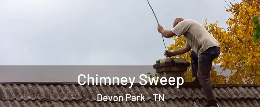 Chimney Sweep Devon Park - TN