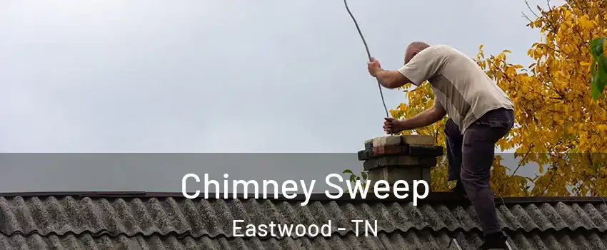 Chimney Sweep Eastwood - TN