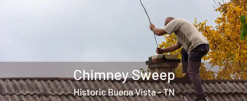 Chimney Sweep Historic Buena Vista - TN