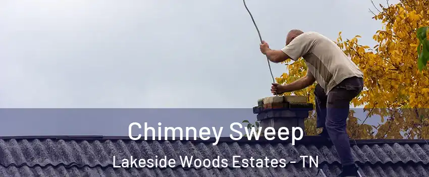 Chimney Sweep Lakeside Woods Estates - TN