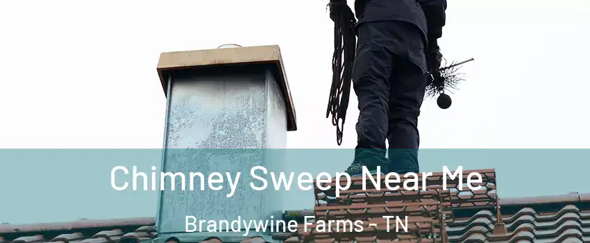 Chimney Sweep Near Me Brandywine Farms - TN