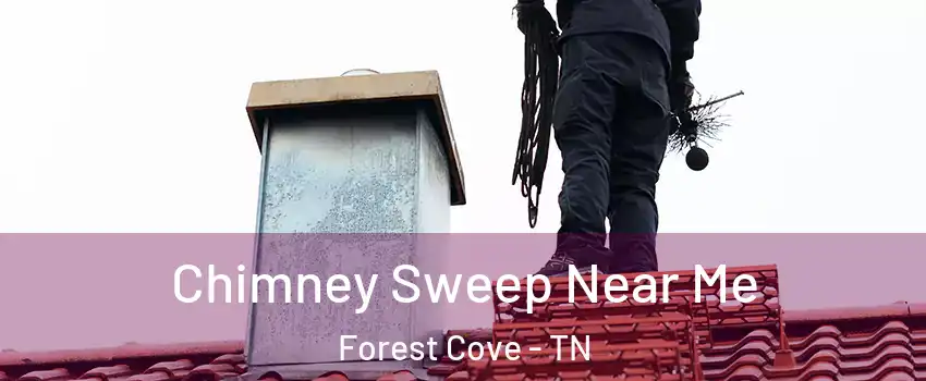 Chimney Sweep Near Me Forest Cove - TN