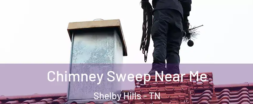 Chimney Sweep Near Me Shelby Hills - TN