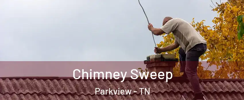 Chimney Sweep Parkview - TN