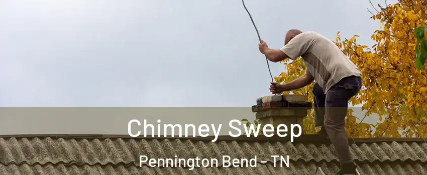 Chimney Sweep Pennington Bend - TN