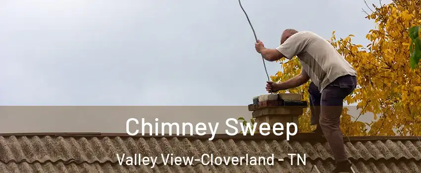 Chimney Sweep Valley View-Cloverland - TN