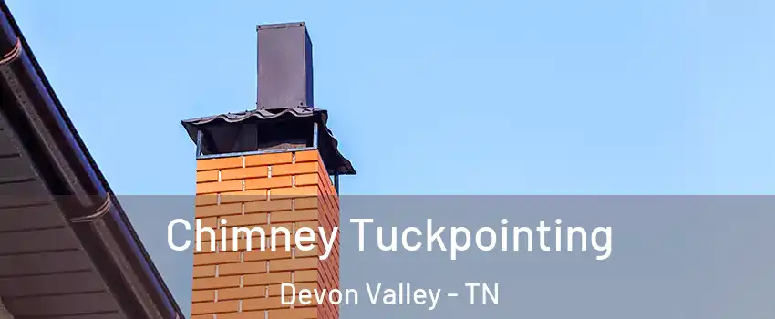 Chimney Tuckpointing Devon Valley - TN