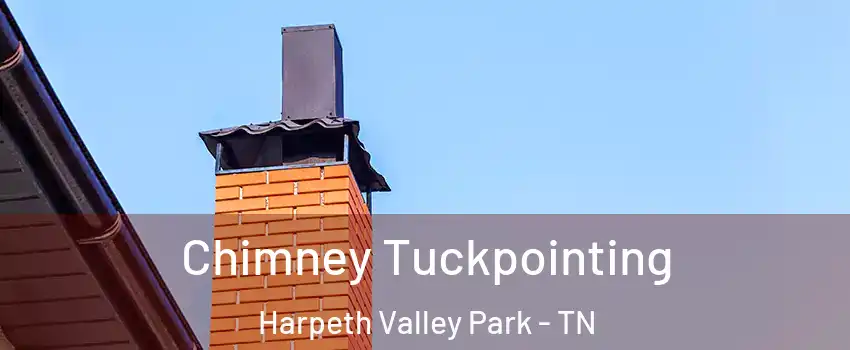 Chimney Tuckpointing Harpeth Valley Park - TN