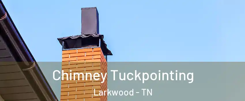 Chimney Tuckpointing Larkwood - TN