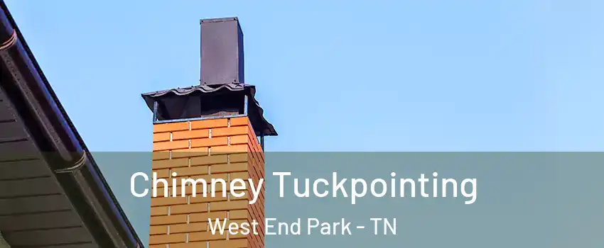 Chimney Tuckpointing West End Park - TN