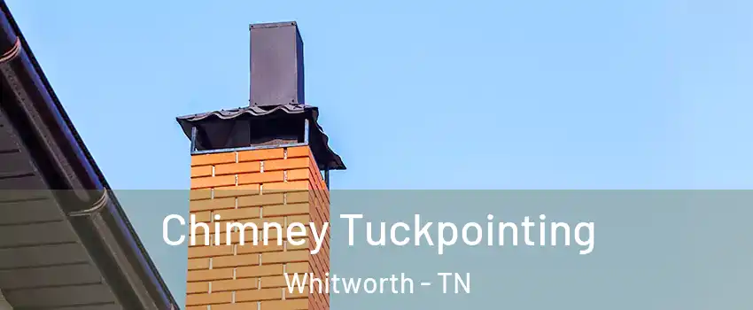 Chimney Tuckpointing Whitworth - TN