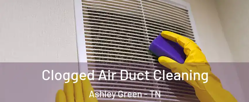 Clogged Air Duct Cleaning Ashley Green - TN